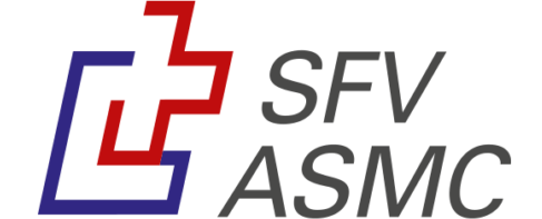Logo des Schweizerischen Fahrlehrerverbands